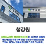 청강원 솔잎청 900ml 국산 : 약초고방