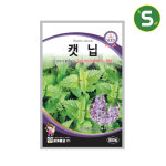 캣닙씨앗 800립(1g) 캣닙 개박하 캐트민트 허브씨앗 : 솔림텃밭몰