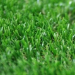 단디 인조잔디 35mm 25M 카페인테리어 실내골프매트 : 단디친구