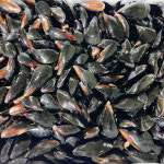 홍합 제철 섭 손질세척 홍합탕 담치 3kg 5kg 10kg : 하남댁 공식스토어