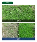 예봉 풀매니저 1톤 친환경 무농약 산소 잔디 제초작업 제초제대로 하는 원예용품 : 주식회사 예봉바이오