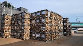 송가네장작 벽난로용 장작 쪼갬목 절단목 대량구매용 : 송가네 STORE