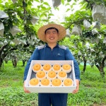 농장직송 나주 배 가정용 선물세트 3kg 5kg 7.5kg : 지지팜 파프리카