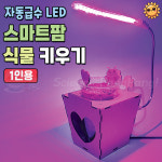 자동급수 LED 스마트팜 식물 키우기(1인용) : 사이언스팡팡