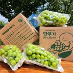 샤인머스켓 망고포도 씨없는포도 청포도 선물세트 가정용 고당도 단부기 : 단북애청년