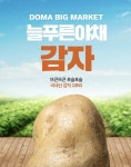 [늘푸른야채] 감자 10kg : 도마큰시장