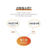 마시는 천연서약 상추 마늘 발효 산화질소 대사체 건강음료 천현수 닥터엔오 엔오바이오 : 천면가-면역999
