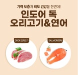 ANF 독 6프리 대용량 강아지사료 식스프리 플러스 오리 연어, 5.6kg, 1개 : 뷰앤온