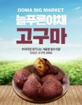 [늘푸른야채] 고구마 10kg : 도마큰시장