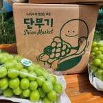 샤인머스켓 망고포도 씨없는포도 청포도 선물세트 가정용 고당도 단부기 : 단북애청년