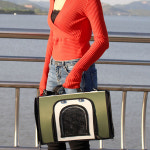 아서아리 강아지 고양이 이동가방 캐리어 이동장 : 아서아리