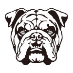 불독 스티커 핏불 강아지 차량용 데칼 검정1번 : 베베오디