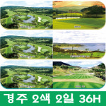 [자차상품] 경주 2색 골프  : 감포/경주/서라벌 중 선착순 랜덤 : PK store