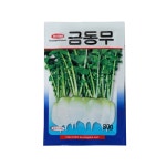 경신종묘 무씨앗 금동무 30g : 농부와농장