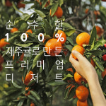 제주엔귤랑 추석 선물세트 한과 디저트 쿠키 세트 12구 : 하늘한과