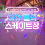 [부평] 스카이 롤러스케이트장 : LSCOMPANY