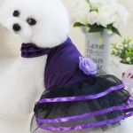 삼미호 강아지 삼선 원피스 애견패션 강아지패션 펫옷 : 삼미호 스토어