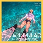 프리다이빙 강습 (초급) 자격증 서울 경기 교육 스쿠버 PADI K26 딥스테이션 : 어스프리다이빙