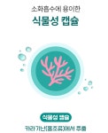 에버그린 식물성 알티지 오메가 (30캡슐) 1개월분 : 365건강팡팡