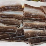 국내산 바다장어 장어구이 원물1kg [2-4미] 머리중뼈제거(손질 후 중량 540g) : 동부회센타 온라인몰