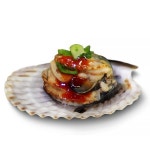 통영산 제철 활 가리비(대) 2kg 3kg / 두 개 이상 구매 시 초장 제공 : 더신선 공식스토어