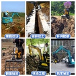 중국 공장용 맞춤형 농장용 미니 농업 기계 과수원 베어링 선회 풍력 터빈 고품질 테이블 : 레몬망고쥬스