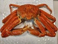 최상급 러시아 박달대게 3kg 대사이즈 : 유히수산 대게전문점