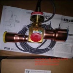 스포란 SEHI-175-10-S 953002 전자 팽창 밸브 1 개 : EarthWide Mark