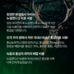 대웅 국내산 6년근 홍삼 녹용 진액 사포닌 스틱 100포 : 넛츄