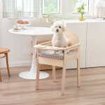 [율무] 모던 강아지 식탁 의자 펫체어 댕댕체어-YULMOO 2401 : YULMOO