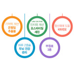 포스타틴딜세린 포스티딜세린 포스 파디 딜세린 뇌기억력 뇌세포 : 팝스프라이스