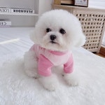 멍케어 아기 강아지 동물 티셔츠 고양이 : 멍케어