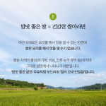 철원 밀키 오대 단일미 쌀 4kg 단일품종 단일벼 도정 잔류농약 불검출 25년산 햅쌀 : 게르마늄농장