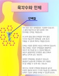 예양 육각수 생성기 가정용, 우리몸에 필요한 육각수생성장치, 세계유일상품, 기적의물 : 블루스카이윈