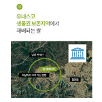 칼슘이온 쌀 10kg 키클아이 뼈건강 24년 햅쌀 : 게르마늄농장