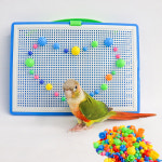 앵무새 용품 노즈워크 장난감 새장 새 훈련 놀이터 코뉴어 퀘이커 왕관 모란 : 리프패럿