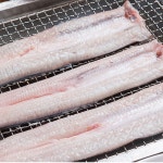 자포니카 민물장어 특품 원물1kg 우나기 500-700g 홈파티 캠핑음식 장어 선물세트 : 코리아푸드
