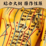 혈자리 모형 전신 경혈 인체 한의원 실습 동인형 인형 : 무엇이든 구매대행