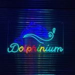 돌고래 네온사인, 영문 아트 네온사인, 주문제작, 실리콘 LED 네온사인, 네온 : 리얼네온