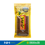[영암농협] 보리차 500g (8803688110014) : 서울서남부농협하나로마트