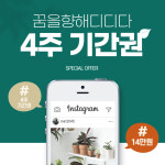 4주 기간권 : 스터디웍스