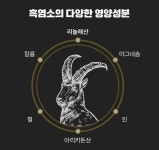 대웅 국내산 흑염소진액 녹용 70ml 30포 : 가성비SHOP