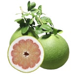 Vmart 베트남 자몽 핑크포멜로 Buoi ruot do 1,6kg내외(1과 1,3kg~1,7kg) grapefruit : Vmart 비마트