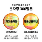 네이처바인 세라마이드 콜라겐 600mg x 120정 1통 : 인투헬스