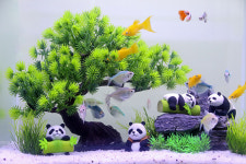 소나무 장식 열대어 금붕어 관상어 수족관꾸미기 : 오냥이와물꼬기