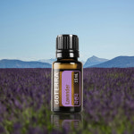 도테라 천연 아로마테라피 심신건강 라벤더 에센셜 오일 15ml : 리치마인드 Richmind