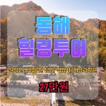신세계여행사[부산출발] 국내 가을여행 동해힐링투어 1박 2일 : 부산 신세계여행사