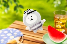 나가노 캐릭터즈 농담곰 모기곰 마스코트 : 위딧 홍대