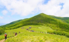 와우부산여행사 [부산출발]  천상의화원 곰배령 1박2일 테마 패키지 버스투어여행 : 와우부산여행사