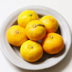 제주 하우스 감귤 1.5kg 2.5kg 4.5kg : 지장샘농장